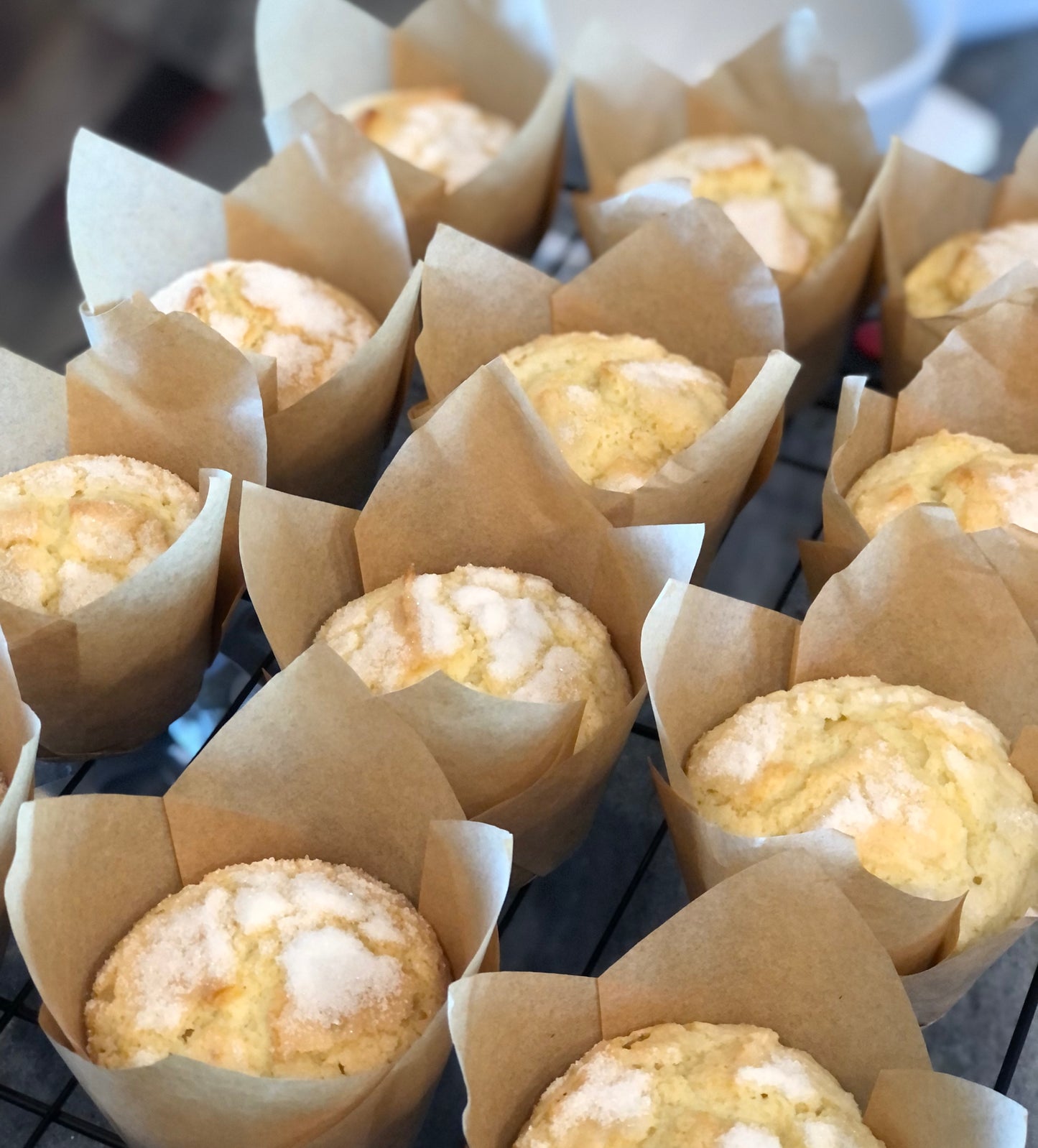 Bolos de Arroz (Rice muffin)