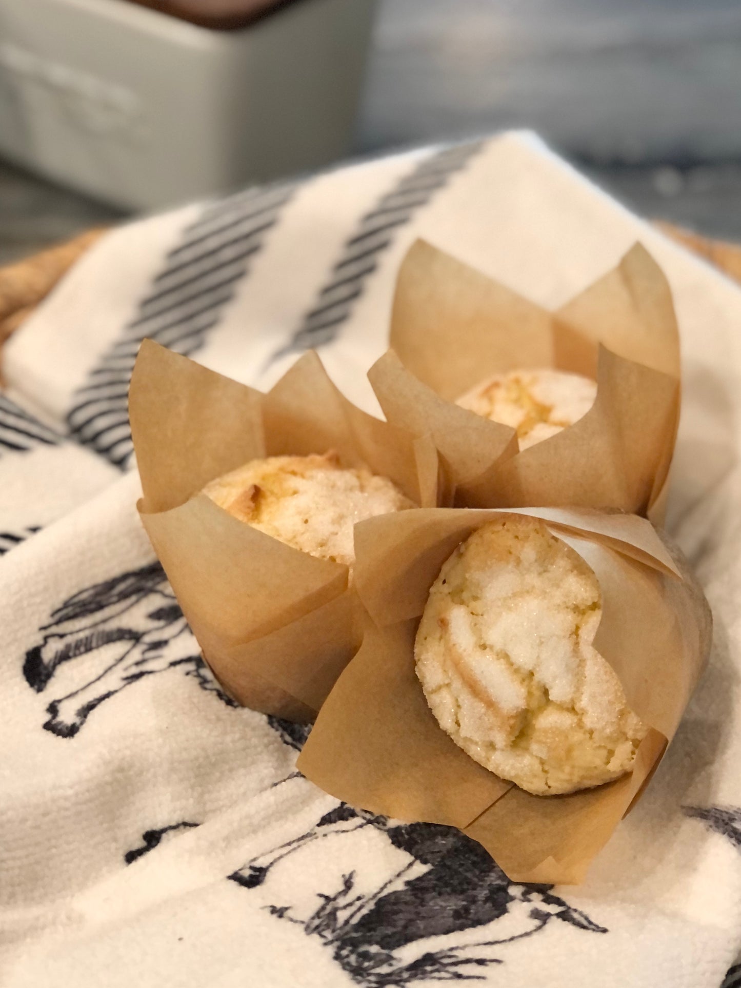 Bolos de Arroz (Rice muffin)
