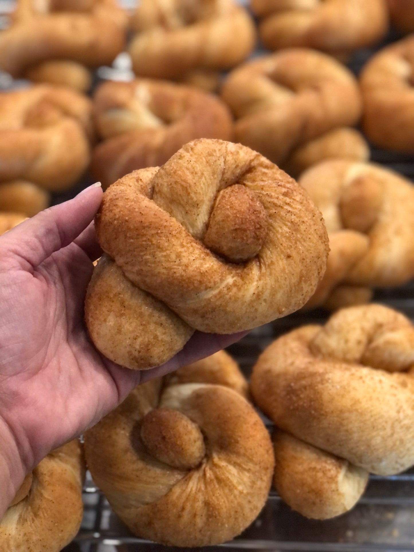 Canelas (Cinnamon Knots)